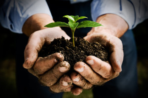 Hands holding soil and green plant demonstrating a new sustainable economy based on equality to all goods an services