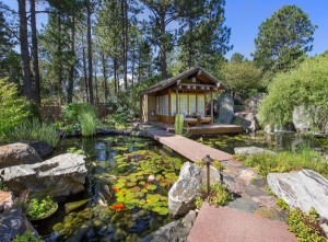 Asian landscape with koi pond is an Inspired setting to receive new beliefs
