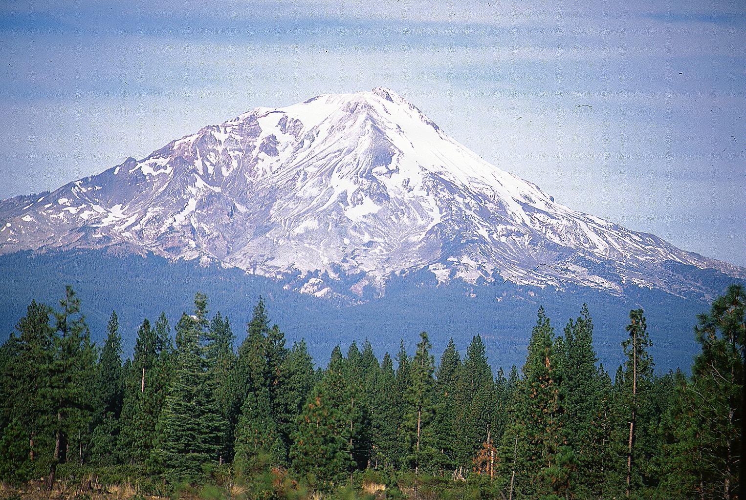 Mt Shasta Snow Capped with trees in foreground