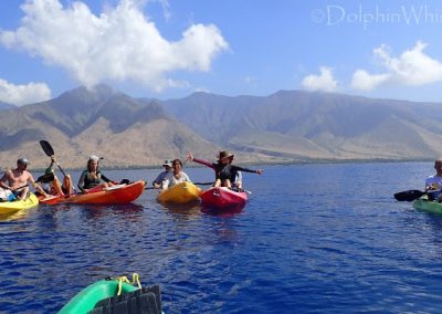 Maui Adventure - Kayaking with Whales