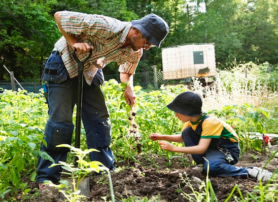 Man and child Working together in garden