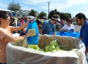 Freely Shared and Equally Distributed Food For the Benefit of All