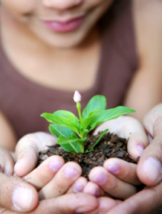 A sweet girl holding a sprouting plant