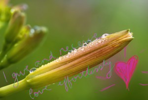 Flower with bridging statement
