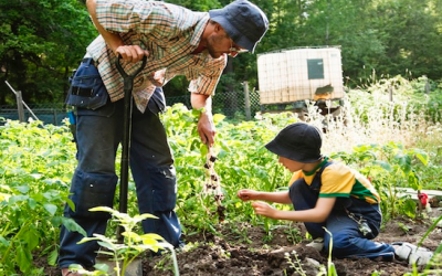 Addressing Survival Needs First